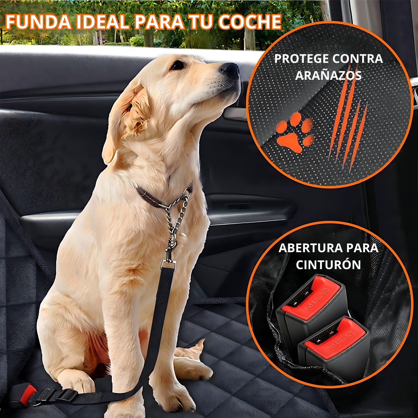 PawGuard®
